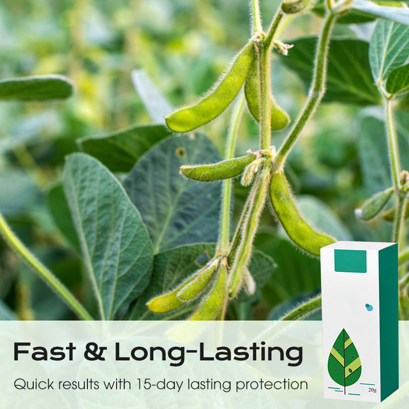 Concentrate Long-Lasting Scale Insect Control