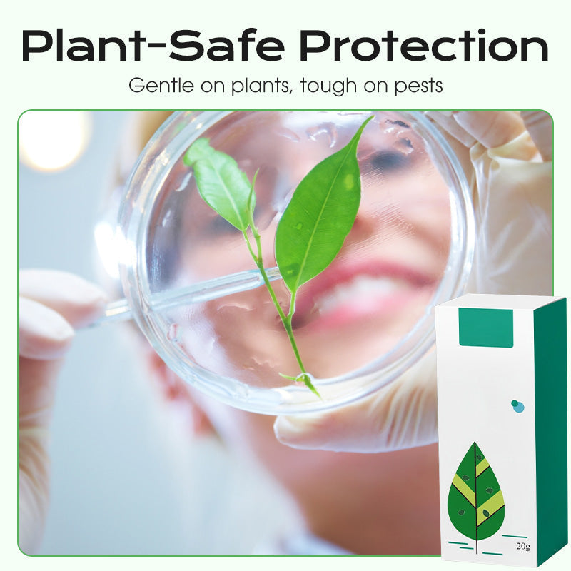 Concentrate Long-Lasting Scale Insect Control