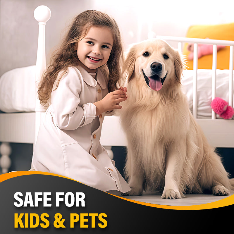 Ant & Cockroach Bait Stickers