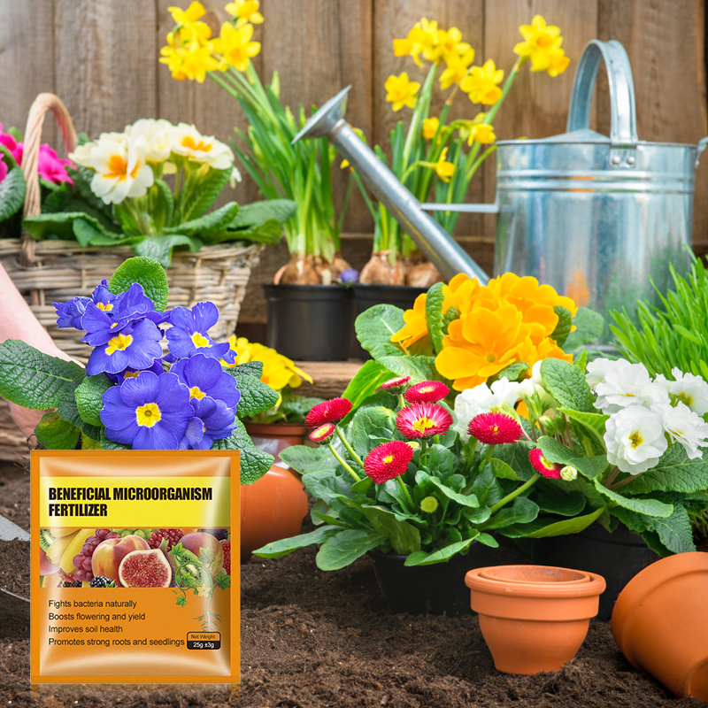 Beneficial Microorganism Fertil
