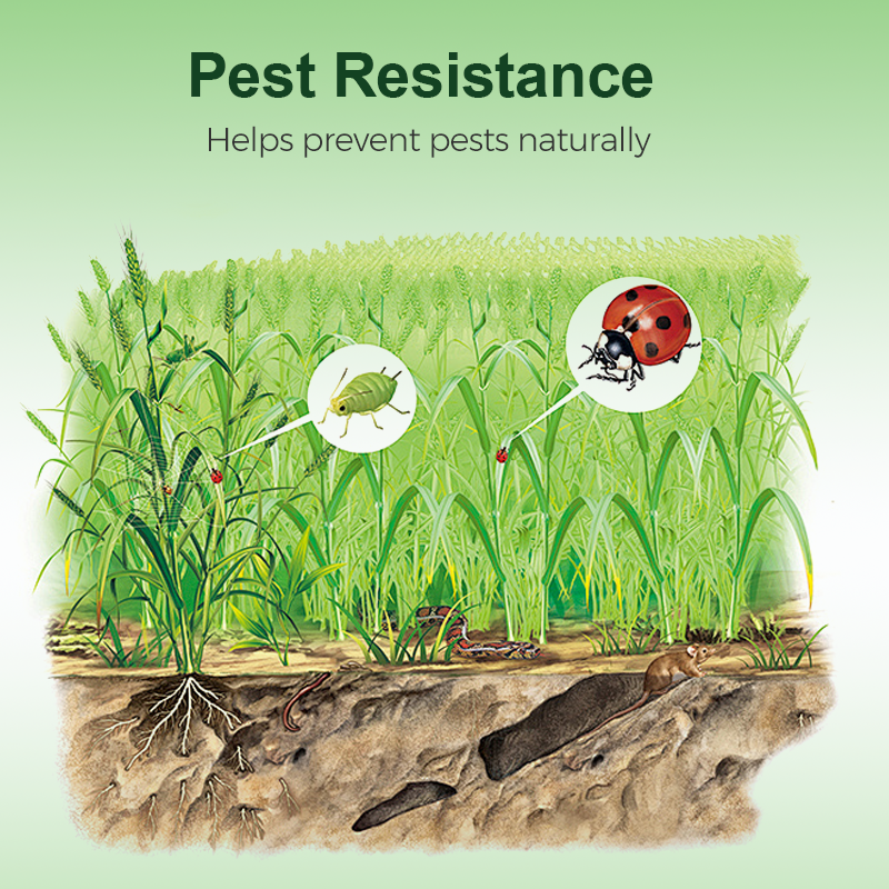 Beneficial Microorganism Fertil