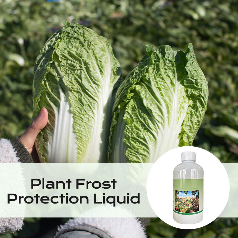 Plant Frost Protection Liquid for Vegetables & Flowers