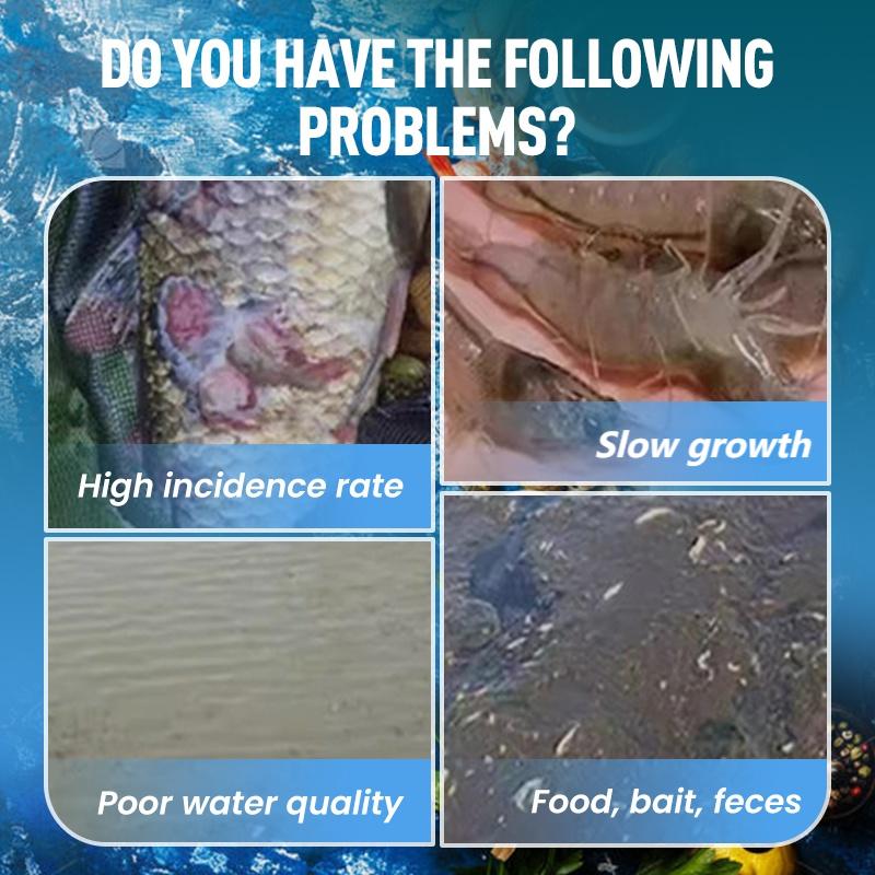 Highly Concentrated EM Bacterial Powder for Aquaculture