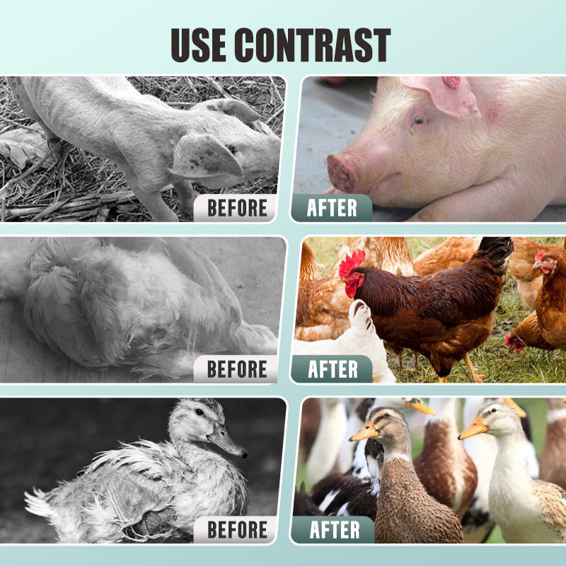 Cod Liver Oil Powder for Livestock and Poultry