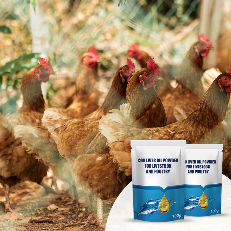 Cod Liver Oil Powder for Livestock and Poultry