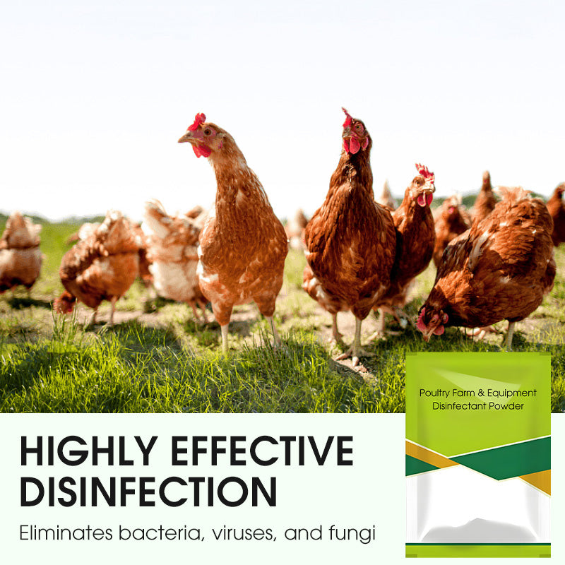 100g Poultry Farm & Equipment Disinfectant Powder