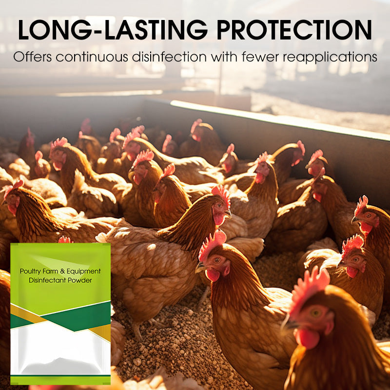 100g Poultry Farm & Equipment Disinfectant Powder