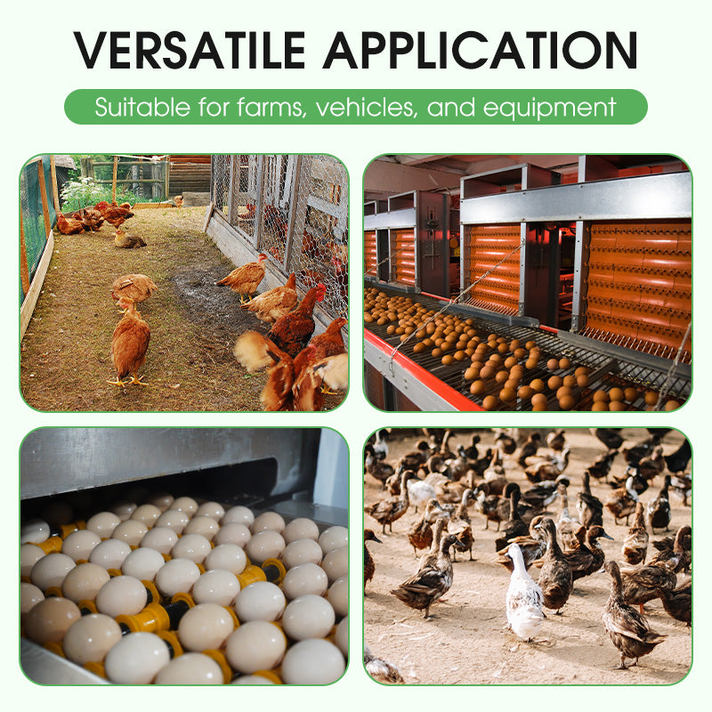 100g Poultry Farm & Equipment Disinfectant Powder