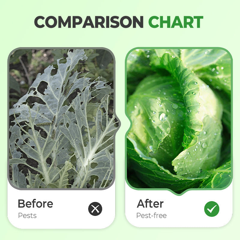 🌱Professional-Grade Cabbage Nutrient 🥬