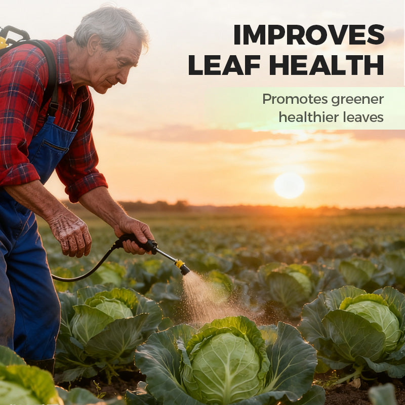🌱Professional-Grade Cabbage Nutrient 🥬