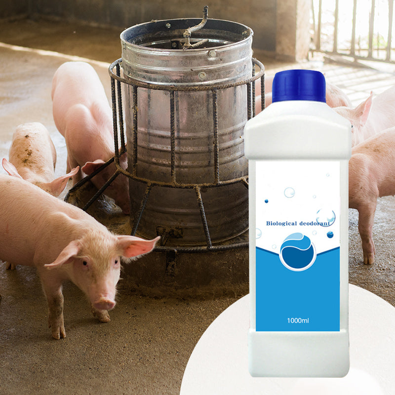 Livestock Odor Eliminator & Ammonia Reducer