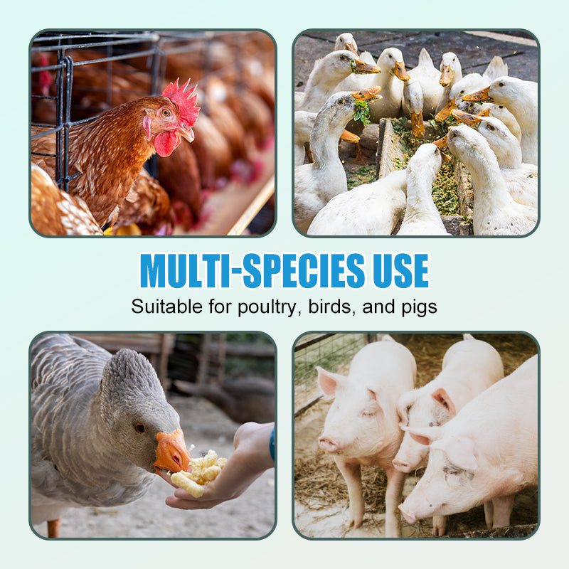 Livestock Odor Eliminator & Ammonia Reducer