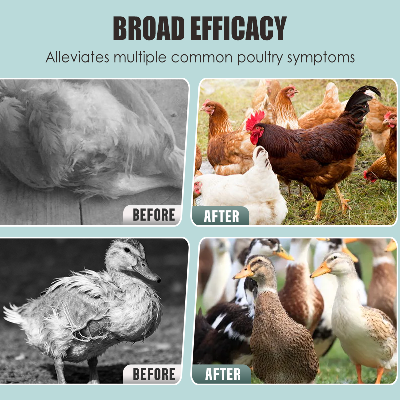 All Natural Formula Tablets for Poultry