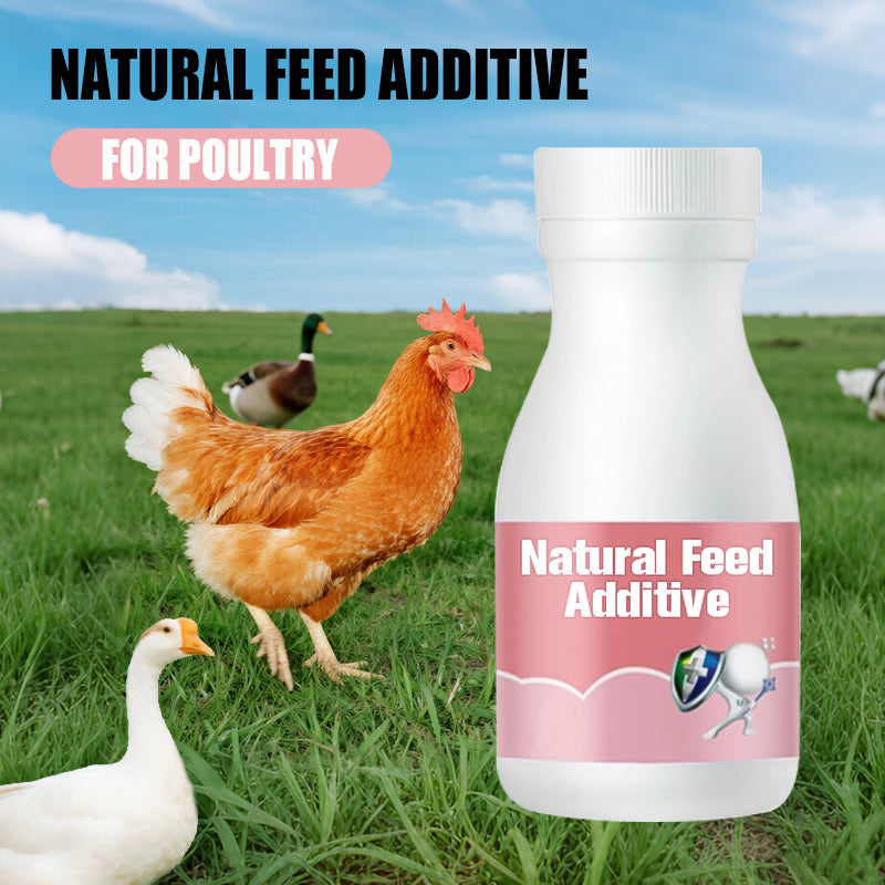 Natural Feed Additive for Poultry