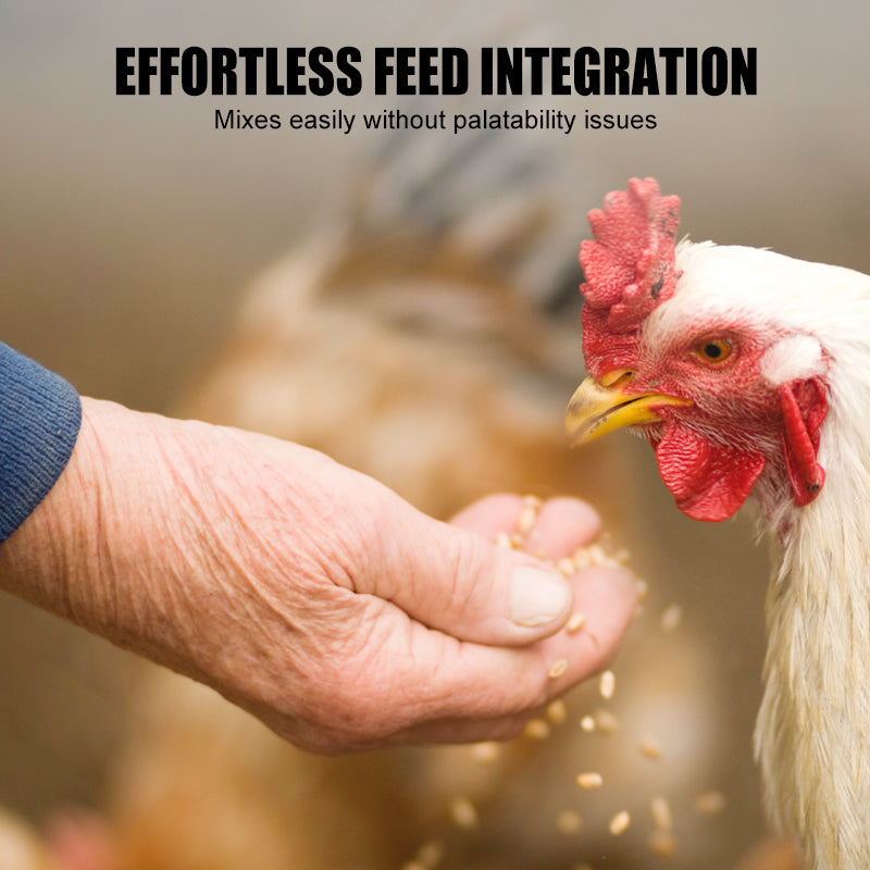Natural Feed Additive for Poultry