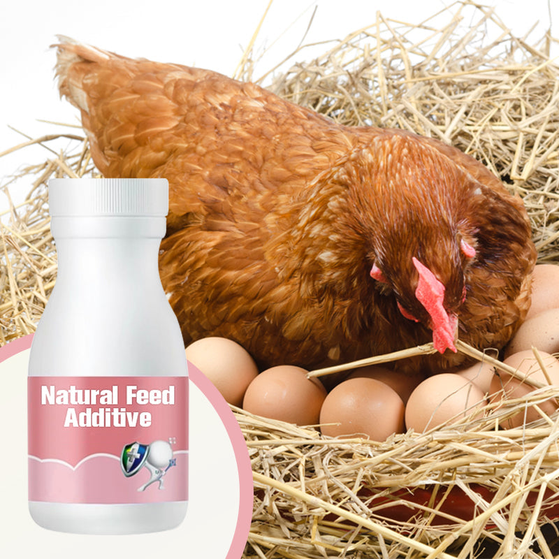 Natural Feed Additive for Poultry