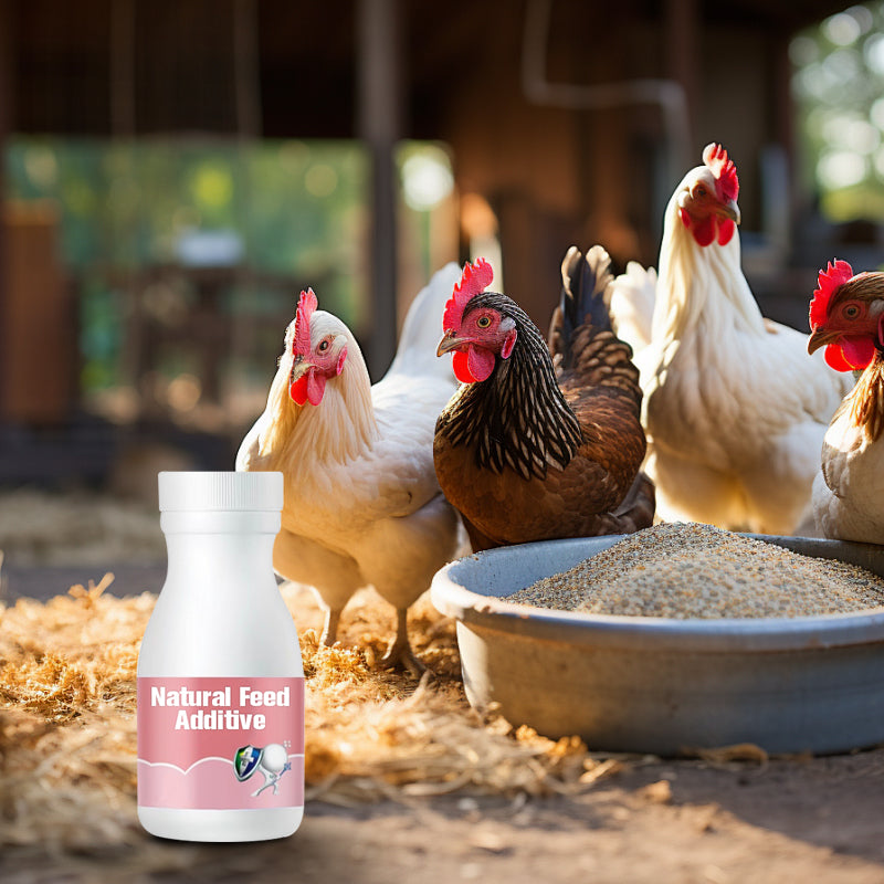 Natural Feed Additive for Poultry