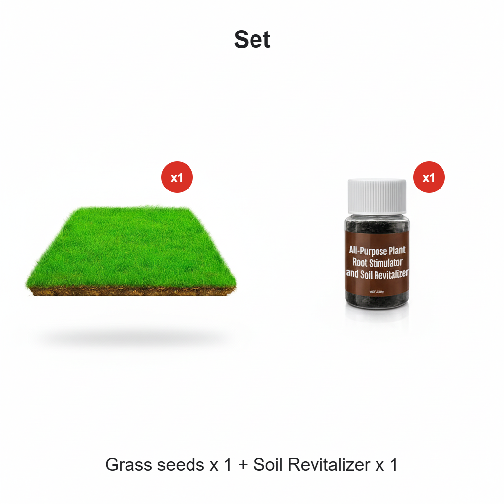 Cold-resistant, drought-resistant, pet-friendly garden grass seeds - evergreen lawn grass seeds