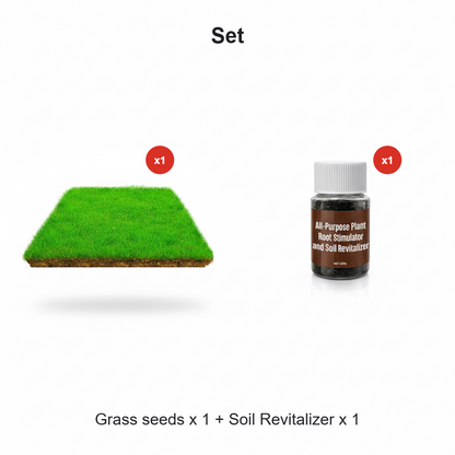 Cold-resistant, drought-resistant, pet-friendly garden grass seeds - evergreen lawn grass seeds