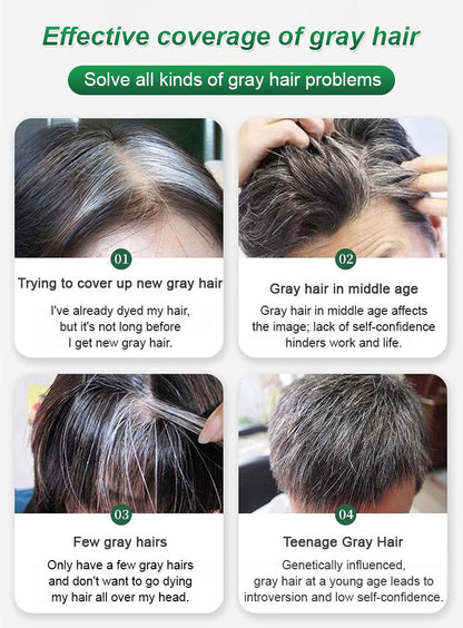 🔥Buy 2 Get 1 Free🔥Fruit Essence Hair Dyeing Comb