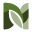 nexapest logo