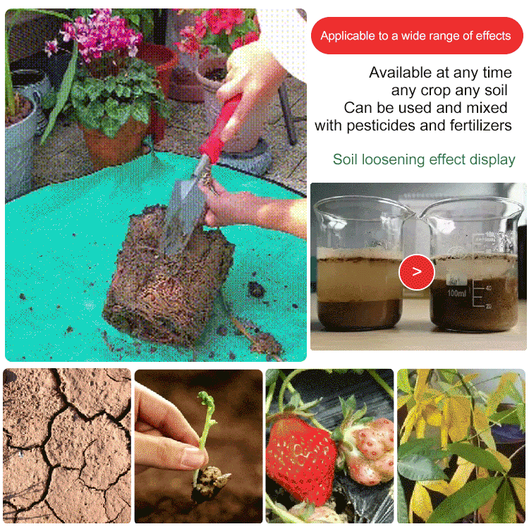 🔥Soil Improvement Loosening Agent