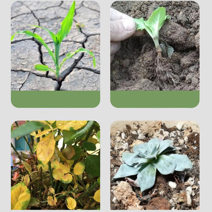 Universal Multi-Action Soil Conditioner