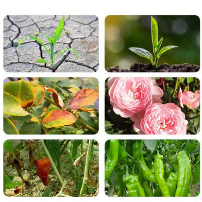 Universal Multi-Action Soil Conditioner