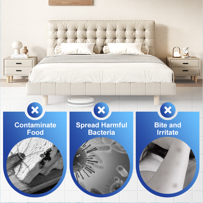 Effective Cockroach Killing Bait