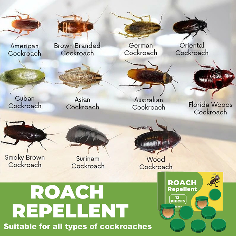 Natural & Eco-Friendly Powerful Cockroach Bait