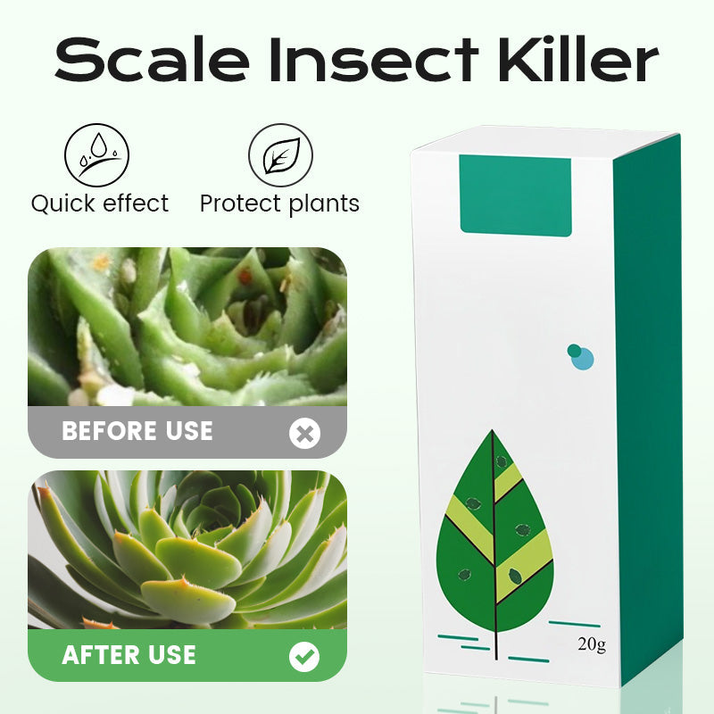 Concentrate Long-Lasting Scale Insect Control