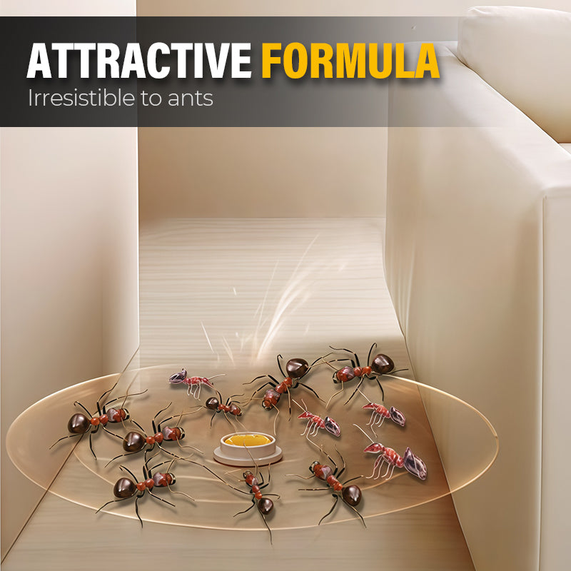 Ant & Cockroach Bait Stickers