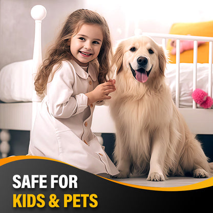 Ant & Cockroach Bait Stickers