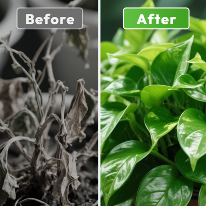 Beneficial Microorganism Fertil