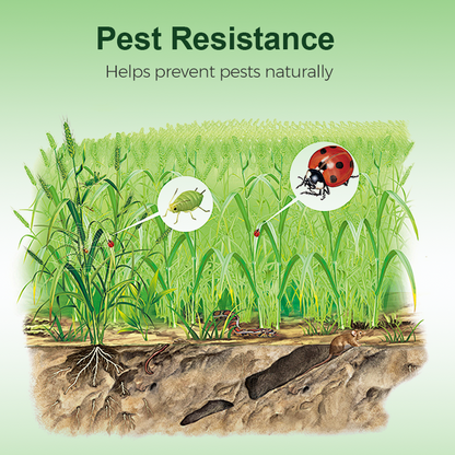 Beneficial Microorganism Fertil