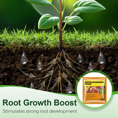 Beneficial Microorganism Fertil