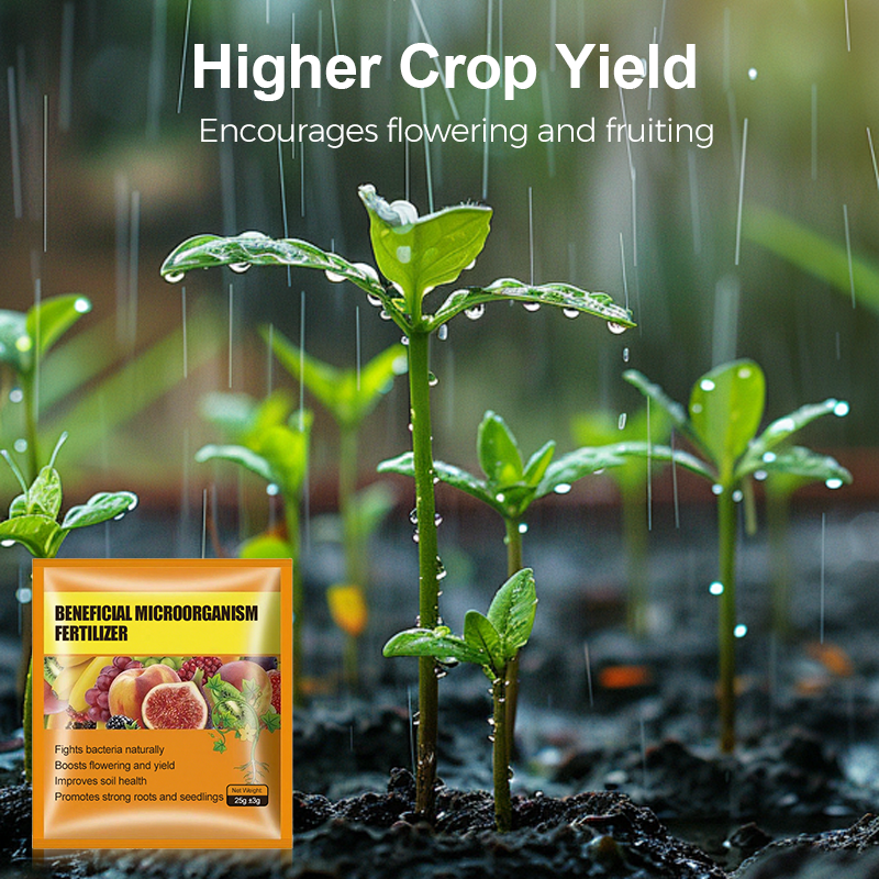 Beneficial Microorganism Fertil