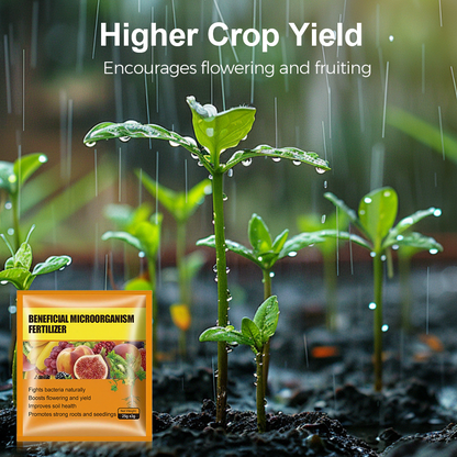 Beneficial Microorganism Fertil