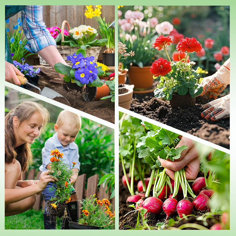 Beneficial Microorganism Fertil