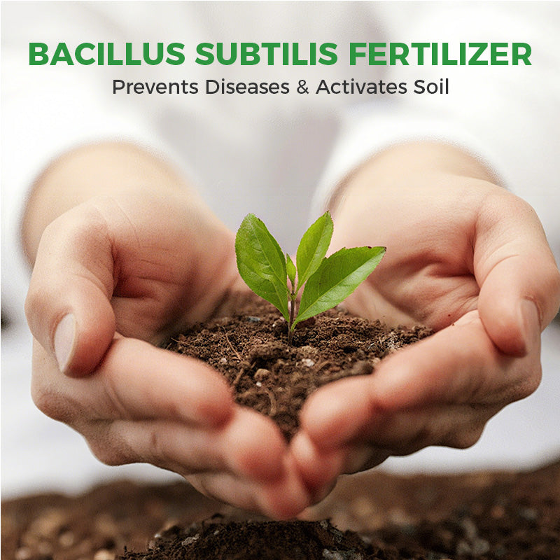 Bacillus Subtilis Fertilizer - Prevents Diseases & Activates Soil