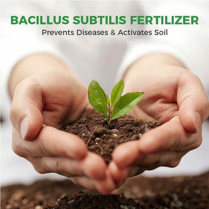 Bacillus Subtilis Fertilizer - Prevents Diseases & Activates Soil