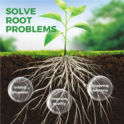 Bacillus Subtilis Fertilizer - Prevents Diseases & Activates Soil