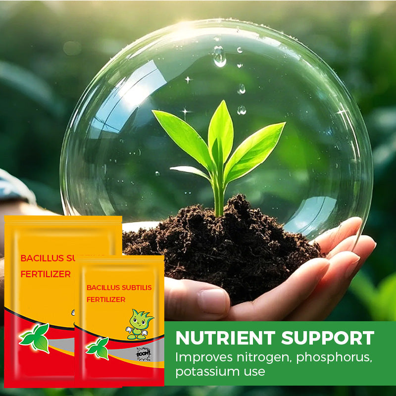 Bacillus Subtilis Fertilizer - Prevents Diseases & Activates Soil