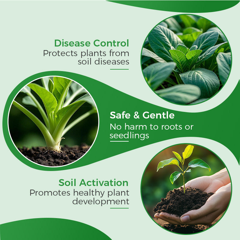 Bacillus Subtilis Fertilizer - Prevents Diseases & Activates Soil
