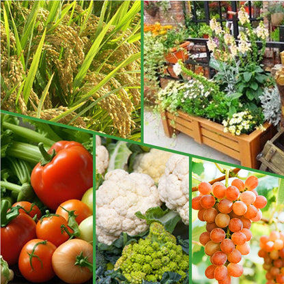 Bacillus Subtilis Fertilizer - Prevents Diseases & Activates Soil