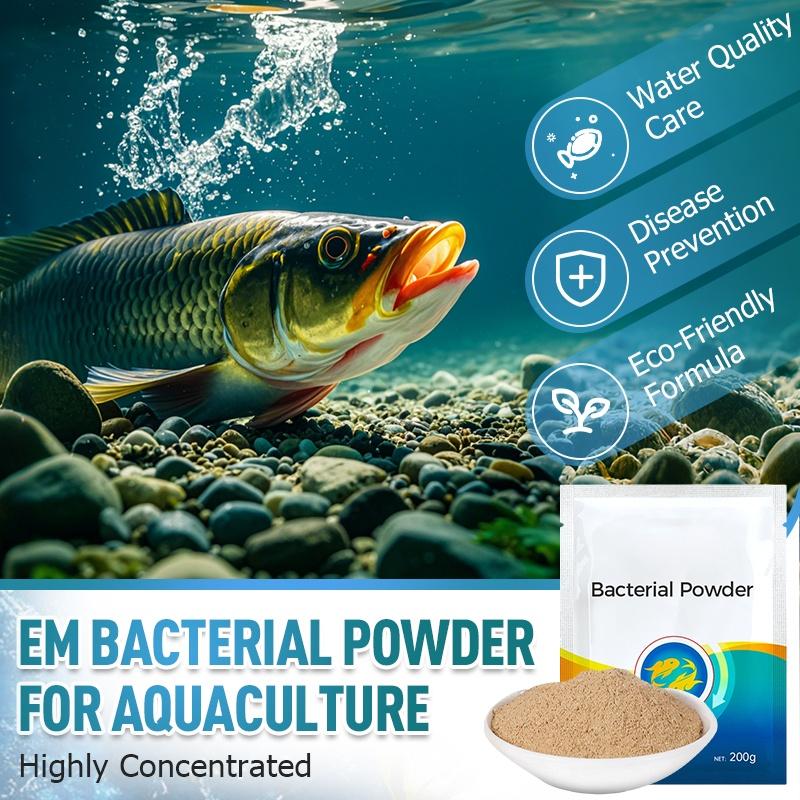 Highly Concentrated EM Bacterial Powder for Aquaculture