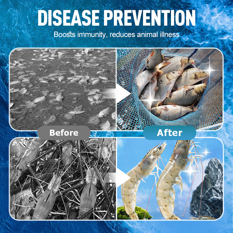 Highly Concentrated EM Bacterial Powder for Aquaculture