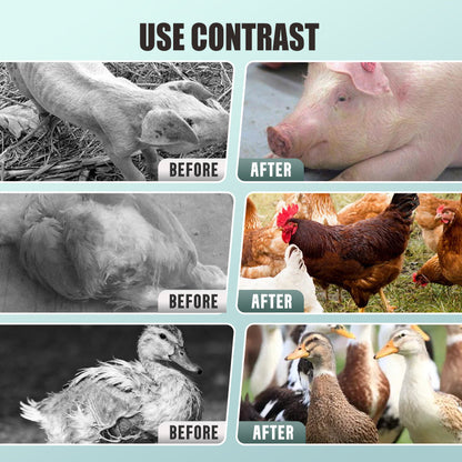 Cod Liver Oil Powder for Livestock and Poultry