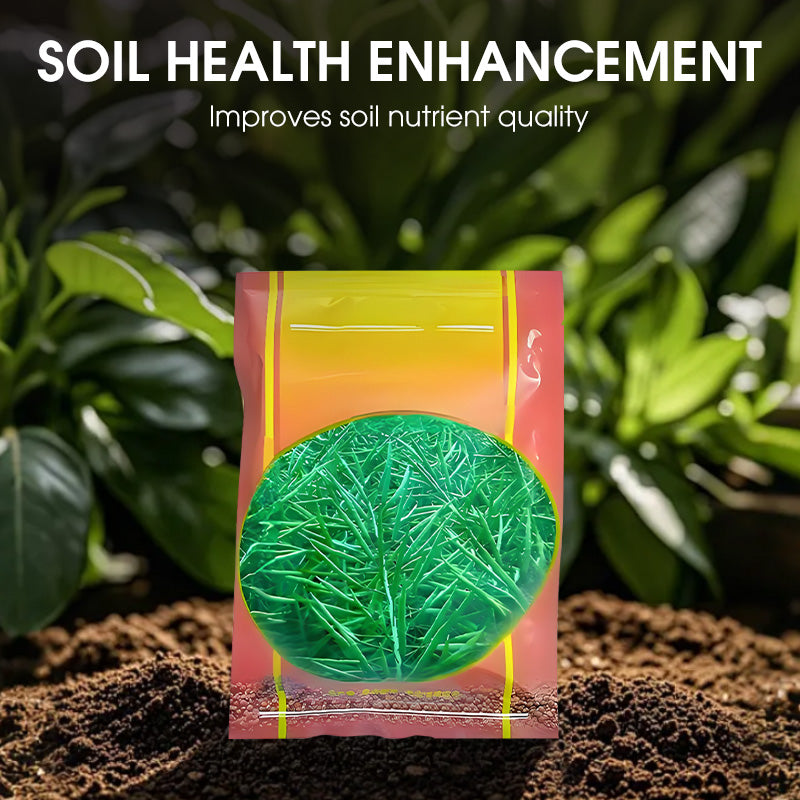 High-Yield Premium Rapeseed