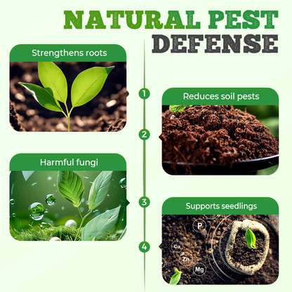 High Concentration Eco-Friendly Compost Bacteria